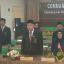 PTA Palu Menghadiri Wisuda Purnabakti Ketua Pta Manado Secara Daring Melalui Zoom Meeting